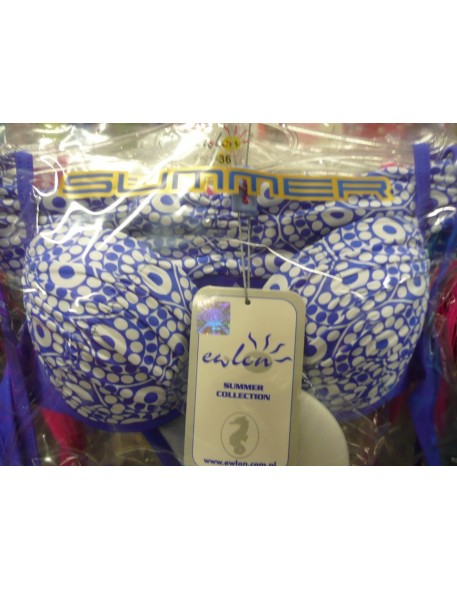 Swimsuit two-piece push up Roxana Ewlon