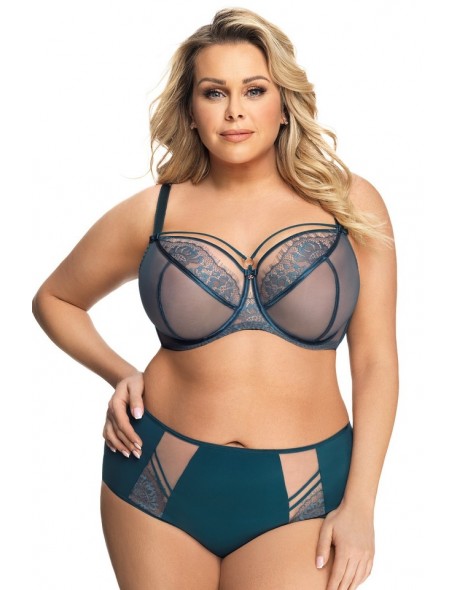 Briefs women's with wysokim stanem Gorsenia...