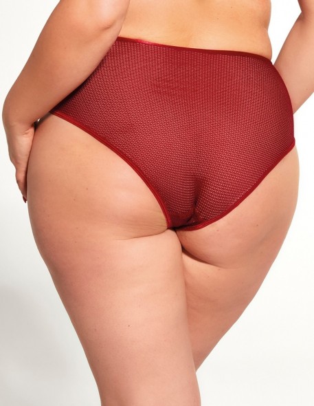 Briefs women's with wysokim stanem Krisline Amore