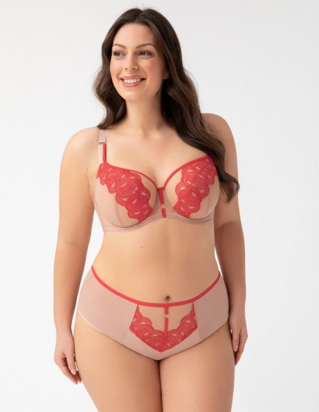 Briefs women's with wysokim stanem Gorsenia...