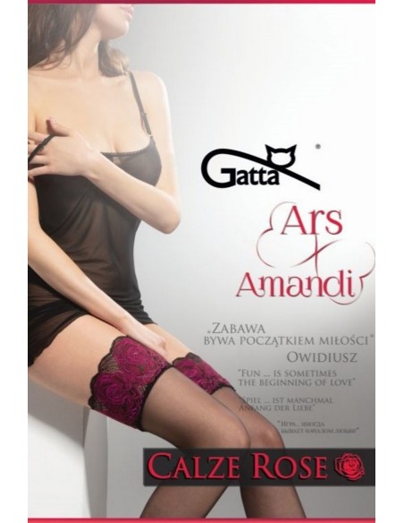 Stockings self-supporting Gatta Ars Amandi Calze Rose 15 den