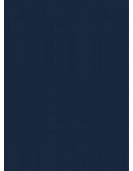 Briefs men's Gatta Cotton Slip 41547