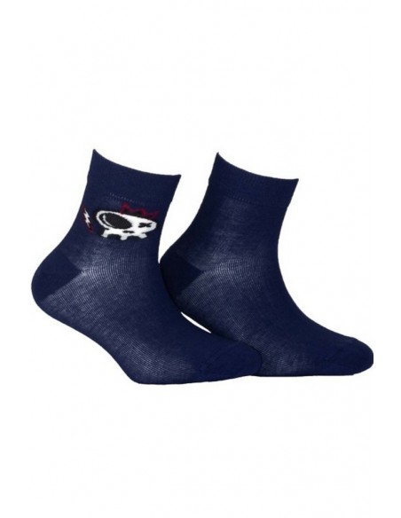 Socks for boys thin color Gatta 11-15 years