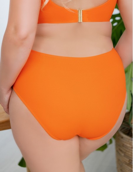 Briefs swim high stan Krisline Madera