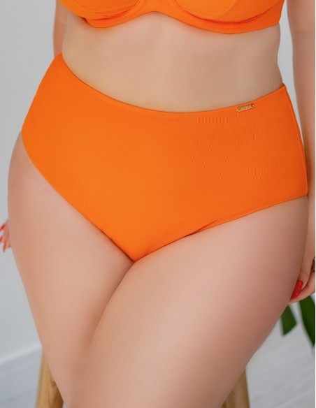 Briefs swim high stan Krisline Madera