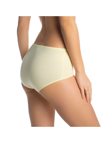 Briefs manuela l, Lama