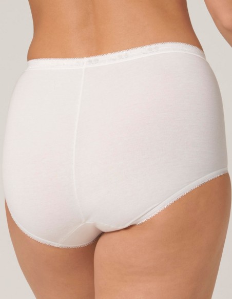 Panties with wysokim stanem 2 Pak Sloggi Basic+ Maxi 2P