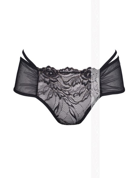 V-5893 Meteorite briefs, Axami