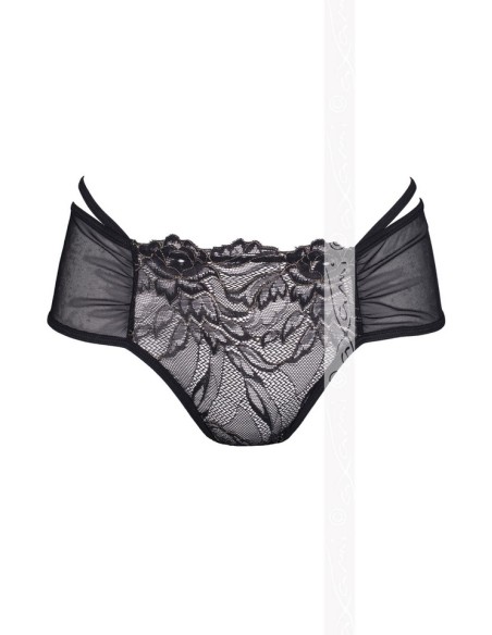 V-5893 Meteorite briefs, Axami