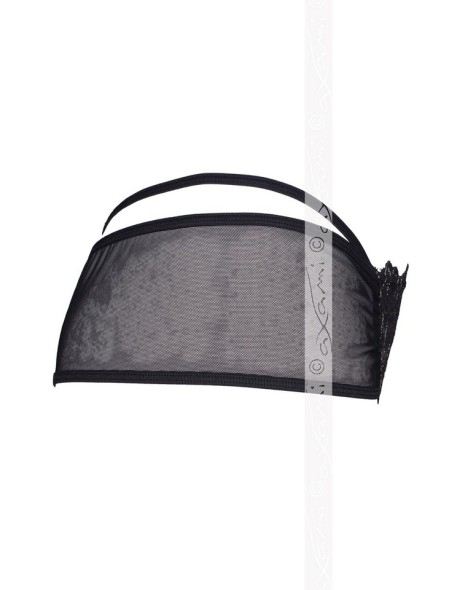 V-5893 Meteorite briefs, Axami