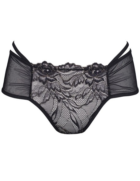 V-5893 Meteorite briefs, Axami