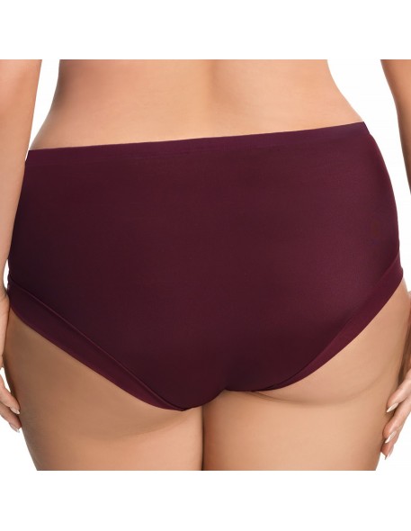 Gorsenia K442 Luisse women's high-waisted briefs 