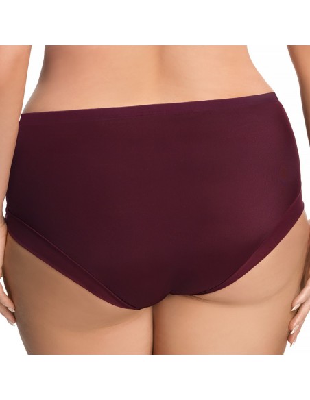 Gorsenia K442 Luisse women's high-waisted briefs 