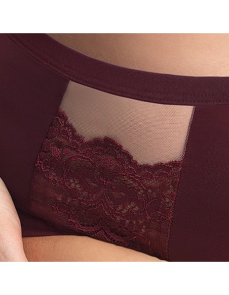 Gorsenia K442 Luisse women's high-waisted briefs 