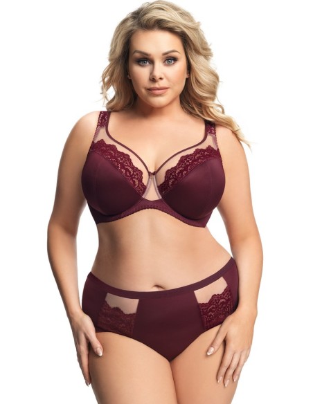 Gorsenia K442 Luisse women's high-waisted briefs 