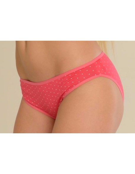 Briefs limited mix, De Lafense 011